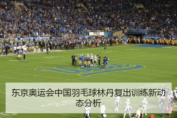 东京奥运会中国羽毛球林丹复出训练新动态分析